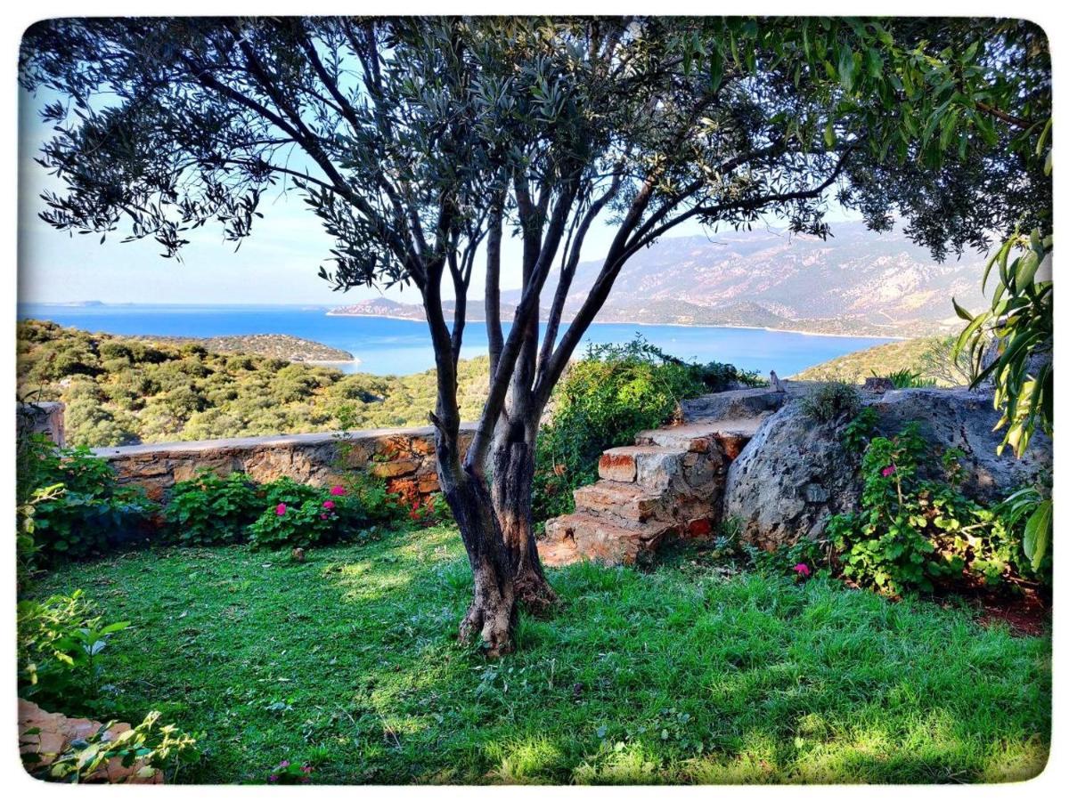 Olivia Homes Kaş Exterior foto